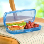 ظرف ساندویچ لیمون