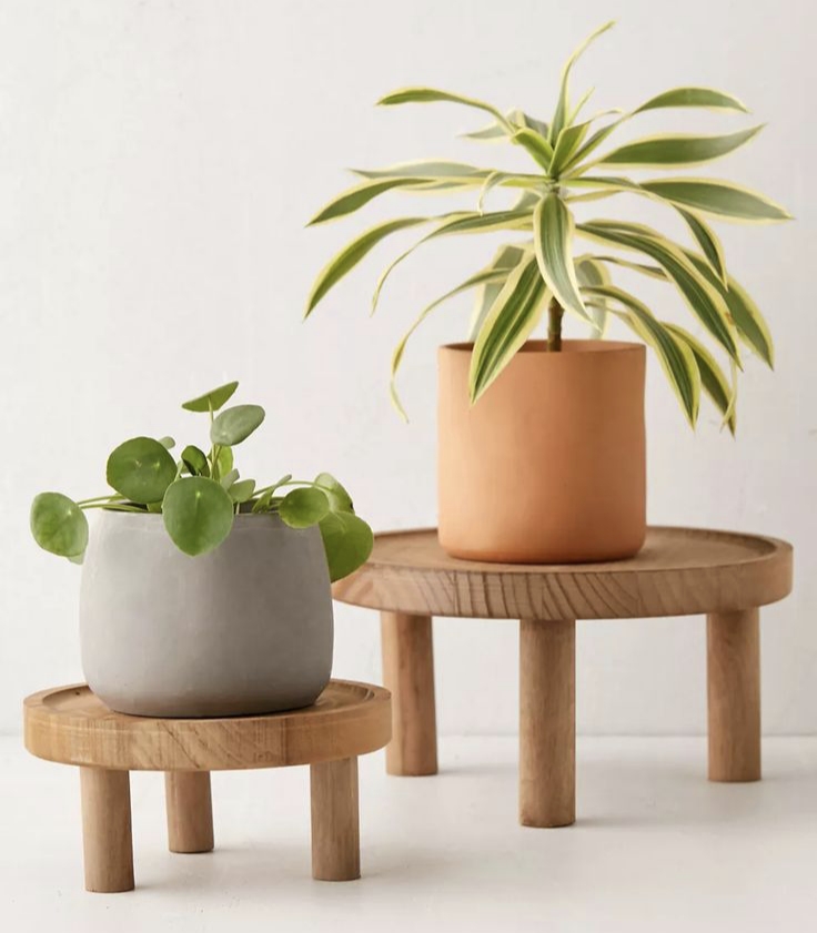 alt زیر گلدانی