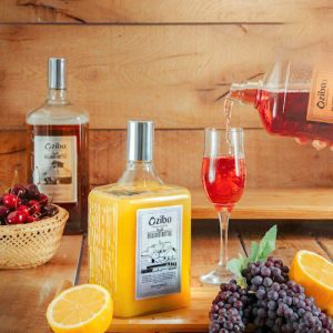 بطری بیلیارد پلاس 2 زیباسازان