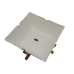 سالاد خوری چهارگوش پانیا کارولین